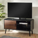 Wooden TV Stand With 1 Door - Trent