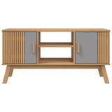 Wooden TV Stand With 2 Doors - Olden