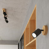 Wooden Wall Light With Steel Verdo Lamp - Peach Puff